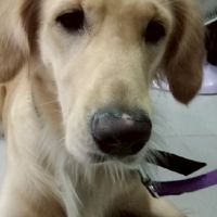 รับทำโทษและตัดต่อวีดีโอคลิปฝากร้านได้เลย