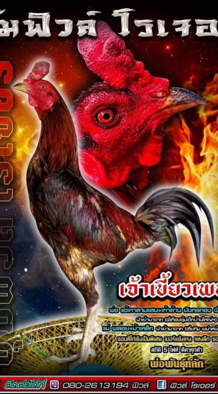 โรเจอร์ ฟาร์ม