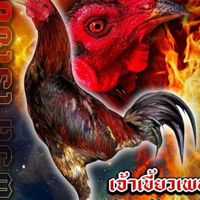โรเจอร์ ฟาร์ม