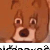 มีม2020
