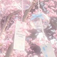 ☆—⁠聊天の小店/免宣拐/分享生活.⁠｡⁠*⁠♡