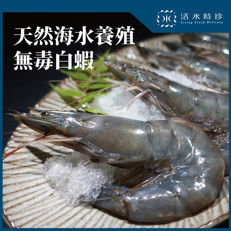 來自東部花蓮太平洋深層海水無毒養殖白蝦，純正國產低碳綠色水產品!!