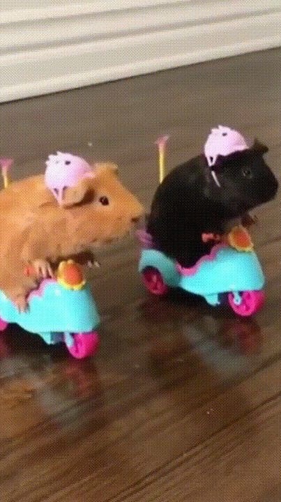 สั่งอีกอย่าง ได้อีกอย่าง