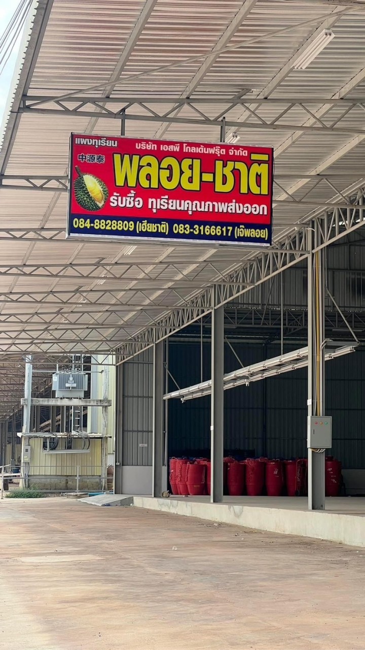 ล้ง เอสพีฟรุ๊ต จันทบุรี-ชุมพร (พลอย-ชาติ)