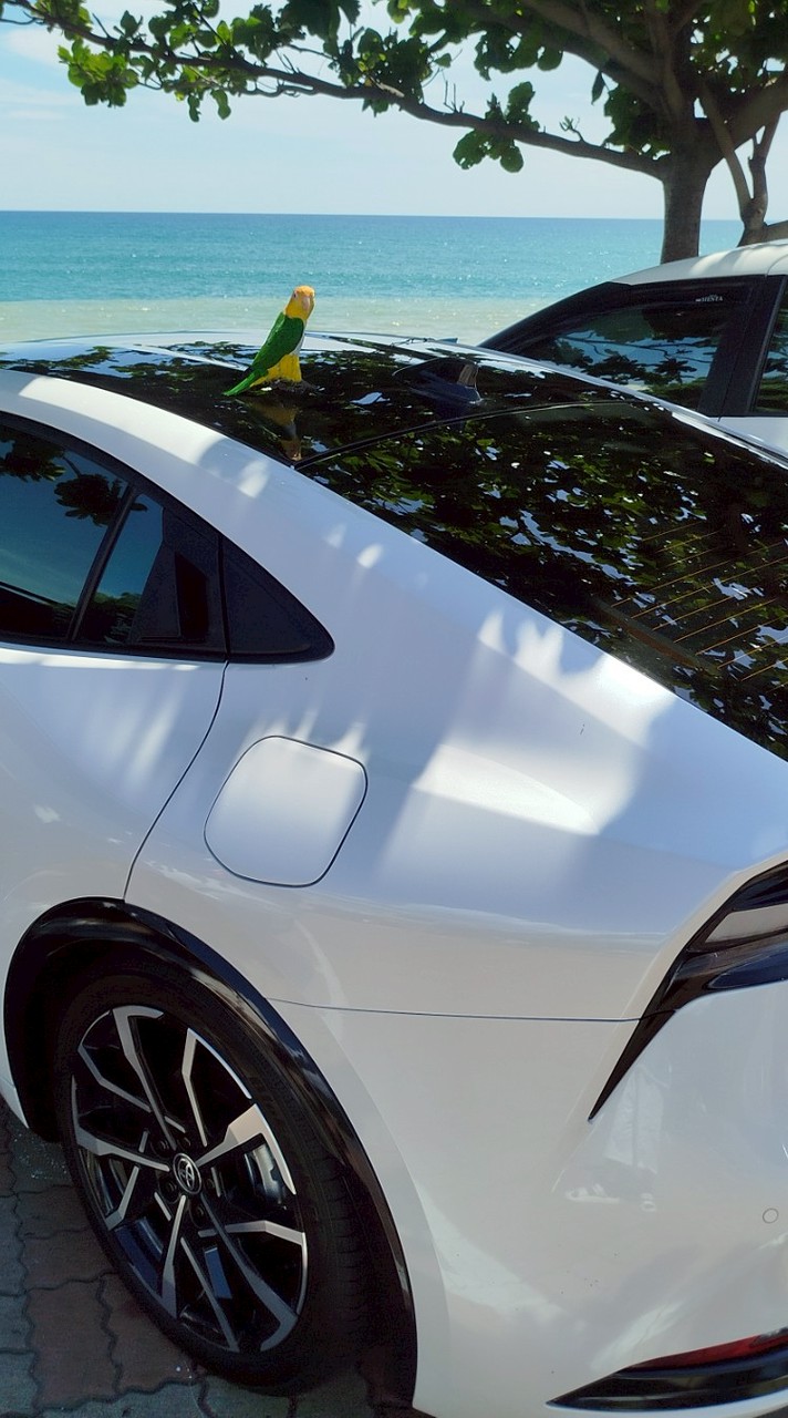 PRIUS  車大老&毛小孩