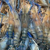 แพกุ้งแสนรูนเฮง🦞