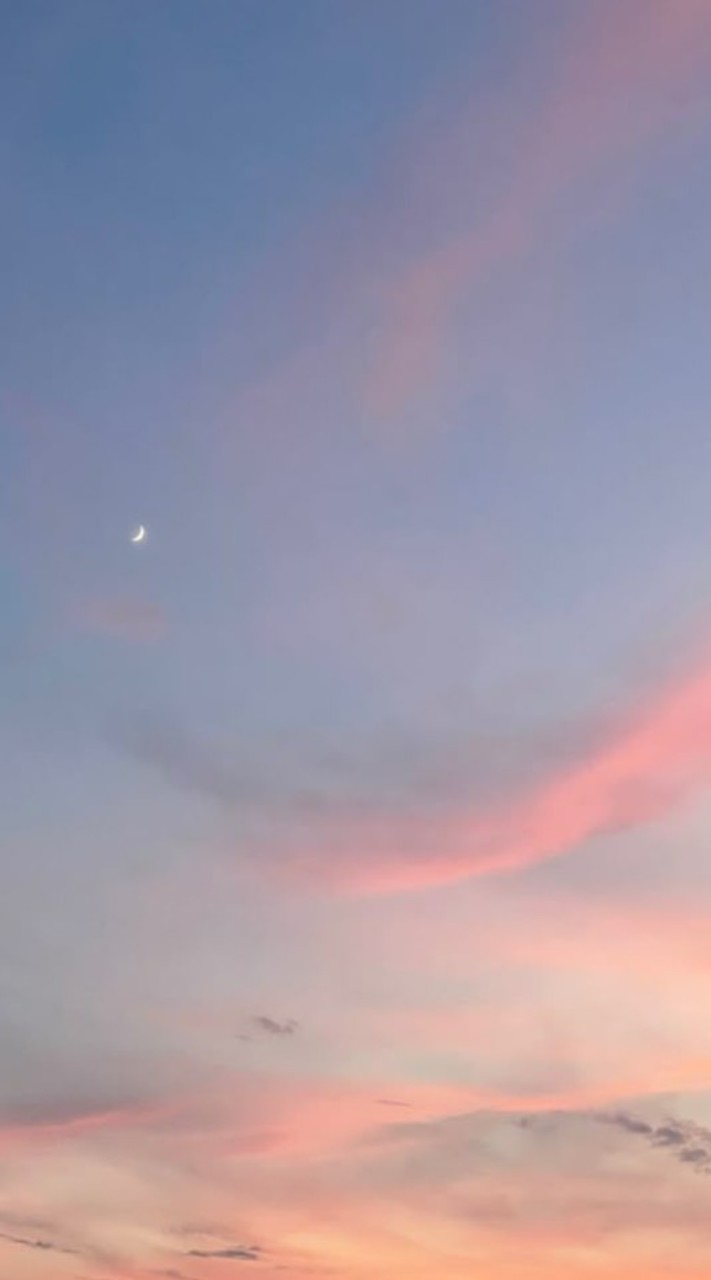 虹桃 メイドカフェ （初心者だけど）