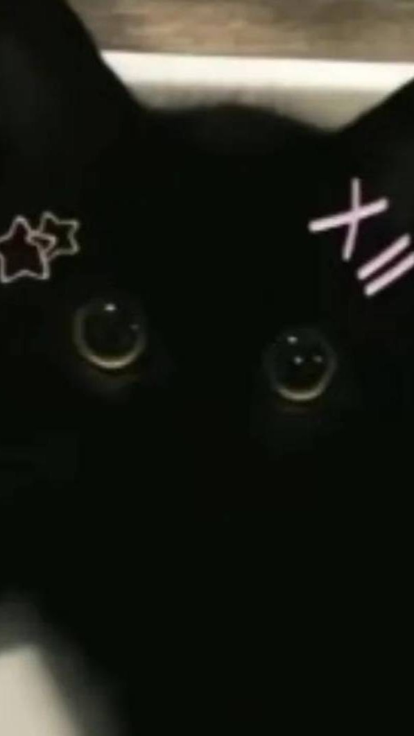 恋バナしませんか！？