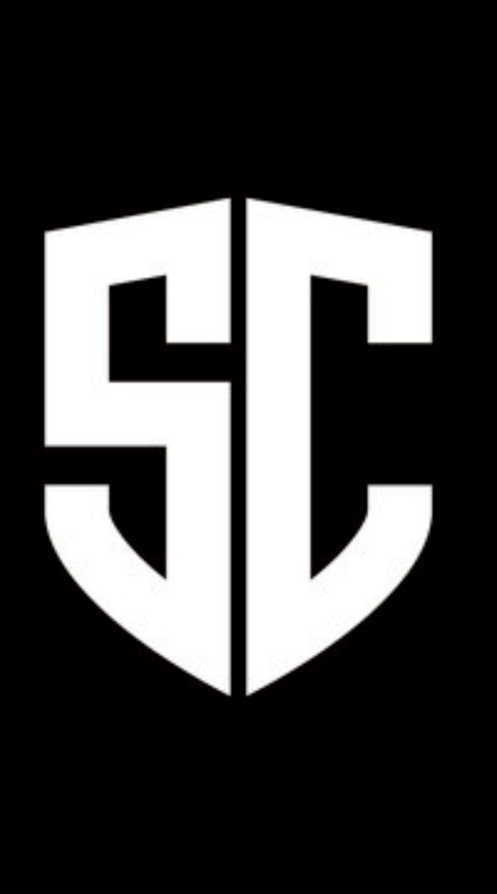 SC進巨團