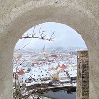 跟著啾比去旅遊✈️