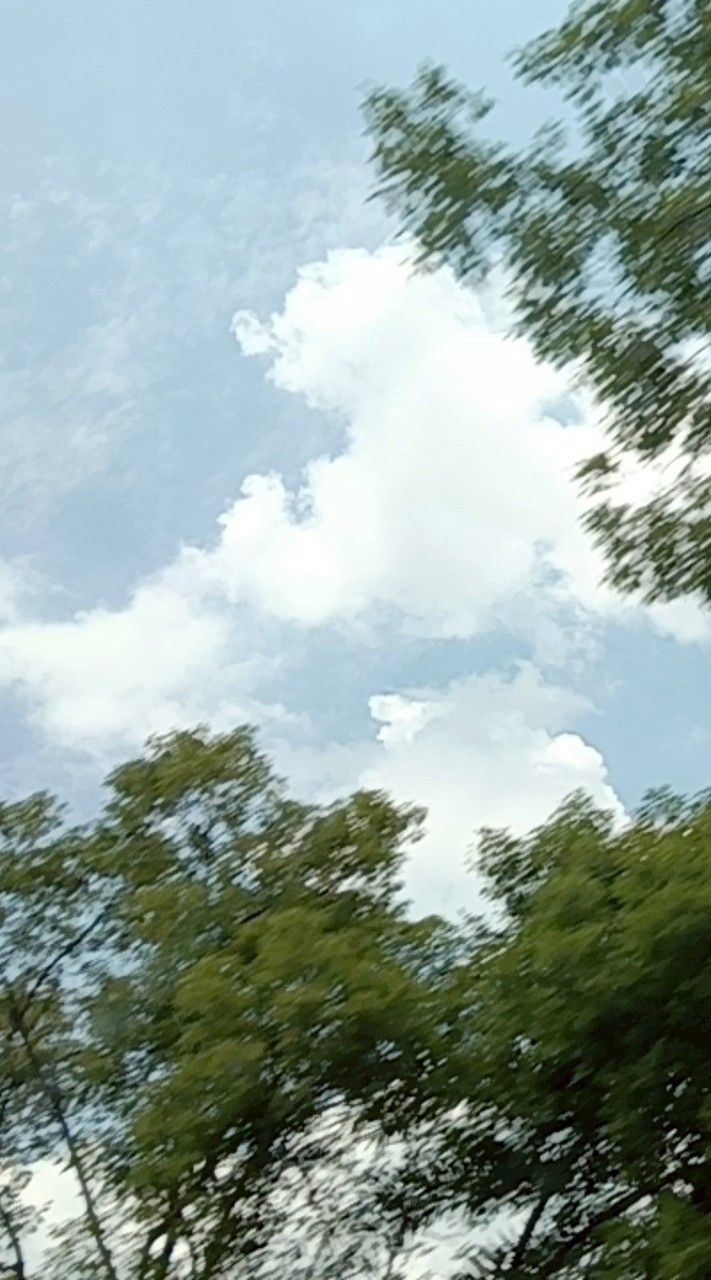 無聊進來說說話？