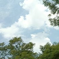 無聊進來說說話？