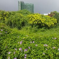 台南/割草除草人力支援通報區（附設欠款黑名單通報）