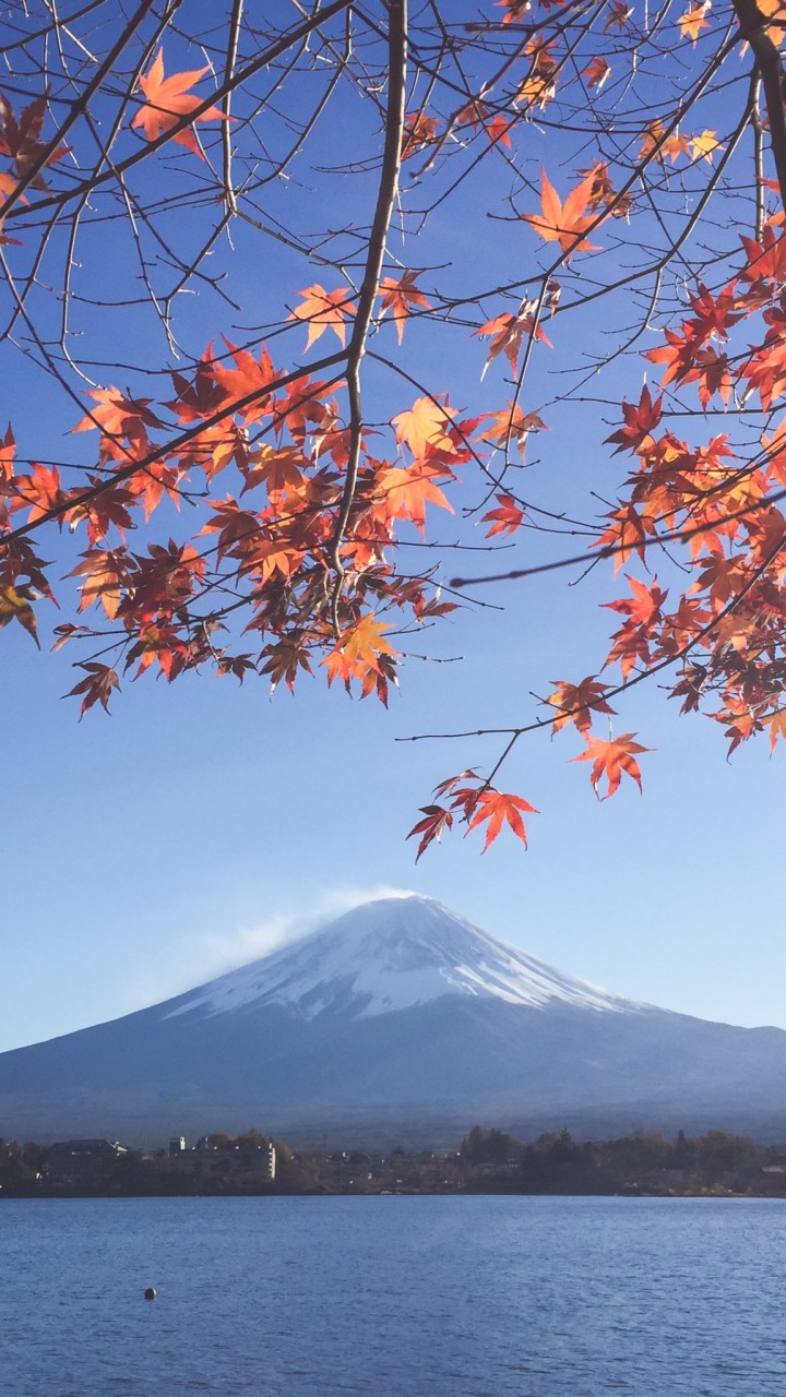 日本代購好物區🇯🇵