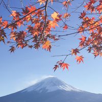 日本代購好物區🇯🇵
