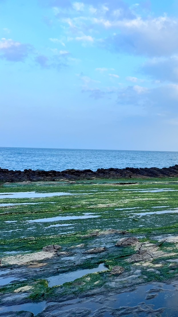 台灣本島海水觀賞魚養殖及採集心得交流