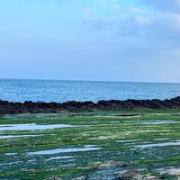 台灣本島海水觀賞魚養殖及採集心得交流