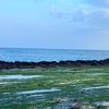 台灣本島海水觀賞魚養殖及採集心得交流