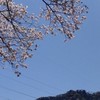 雑談部屋^^♪（東方好きな子多いよ！）
