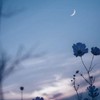 君の恋人に＿ハント風固定夢也