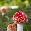 雑談ライトあり！メンユザ大歓迎