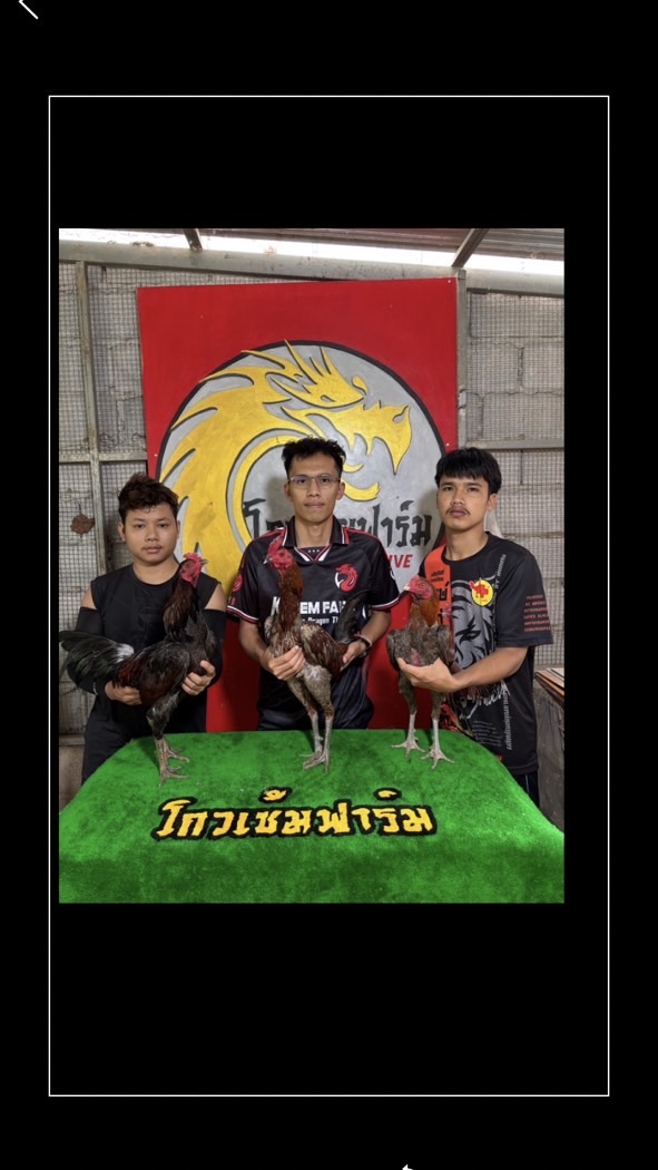 🐲🐲🐲 สายเลือดมังกร 🐲🐲🐲 บุรีรัมย์ 🐉