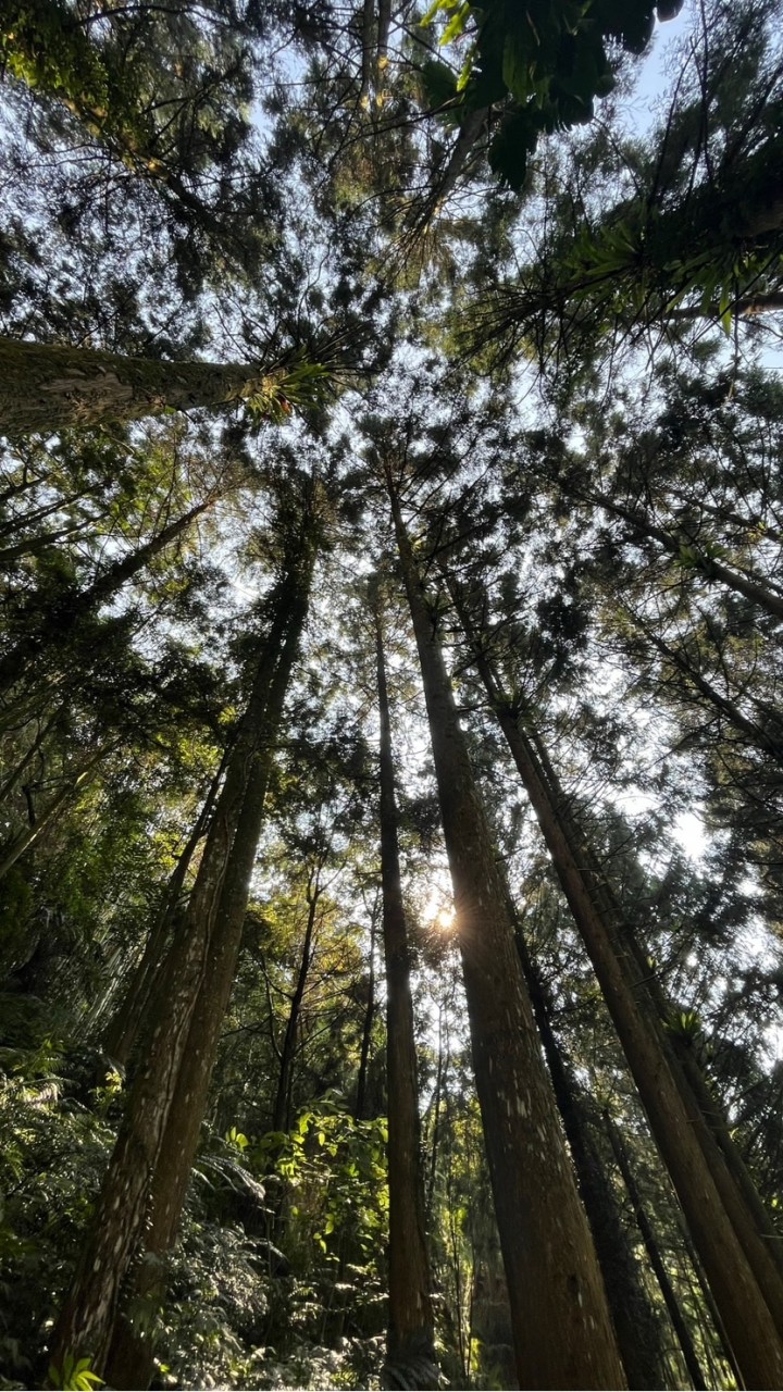 🔥南投 草屯超值房地產🔥不動產即時更新社群