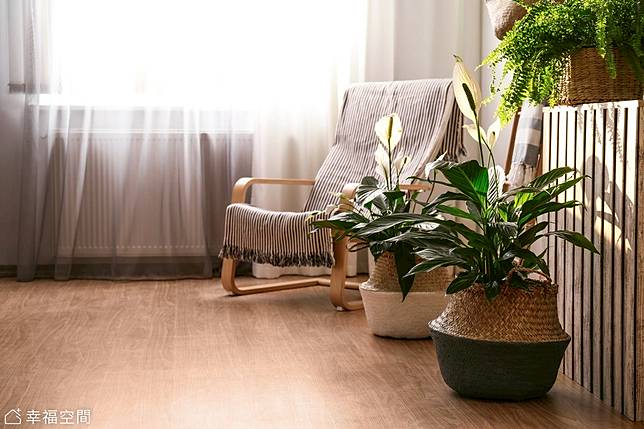 園藝達人告訴你 植物種在哪裡才種得活 幸福空間 Line Today