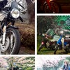 空冷単気筒の会