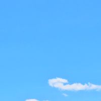 桃園五六年級吃喝玩樂