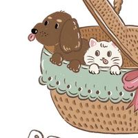 培特野餐盒 Pet Fun Box｜寵物手工餅乾｜烘乾零食