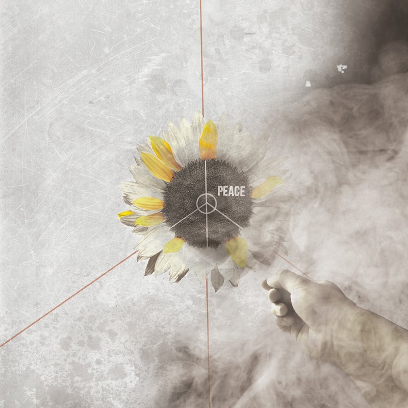 〔商品說明及故事〕 太陽花學運。 〔尺寸〕30x30 cm , 40x40cm , 50x50cm , 80x80cm (正方形) ps.此訂單為30x30 cm之價格，價格會因其他尺寸而有所變動，請