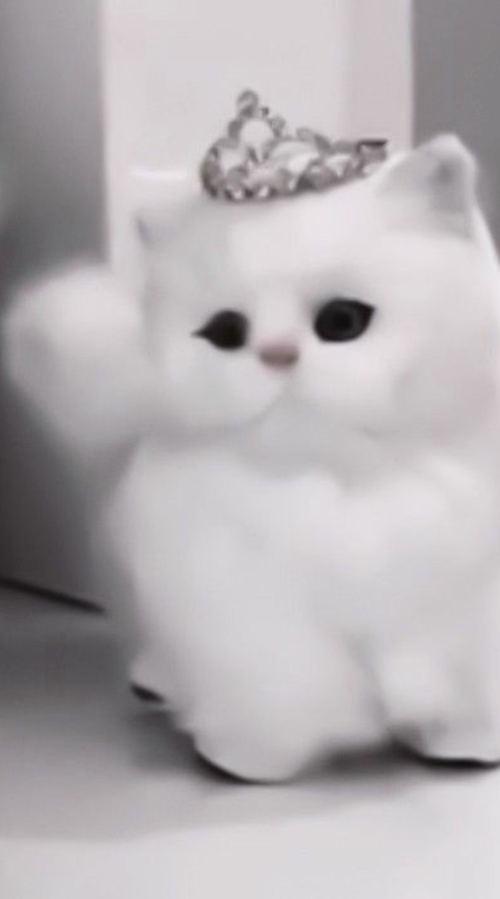 ค่าย นมกล่อง
