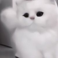 ค่าย นมกล่อง