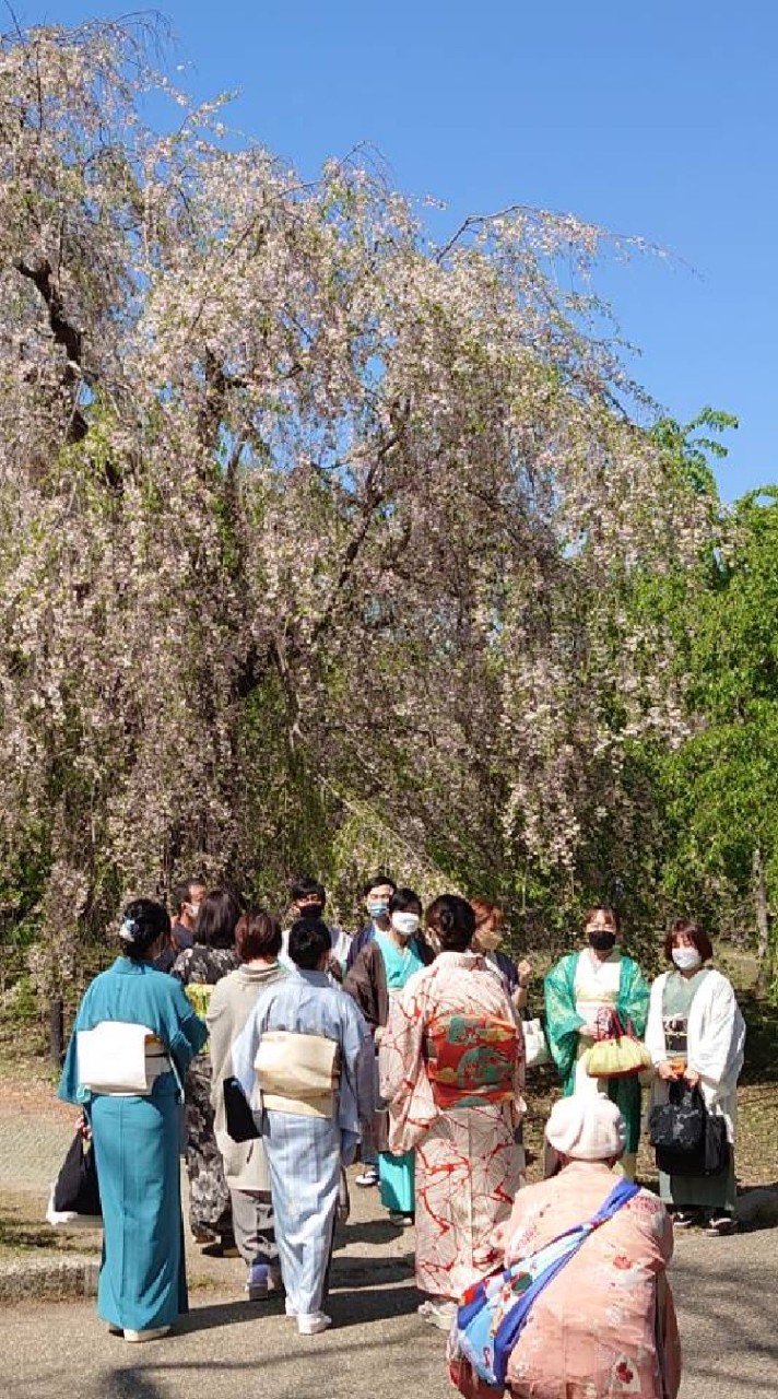 〜関西きもの倶楽部〜