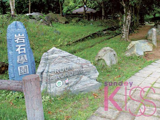 親子體驗生態遊4條路線親身體驗邊玩邊學 嘉道理農場 屯門爬蟲館 Sundaykiss Line Today