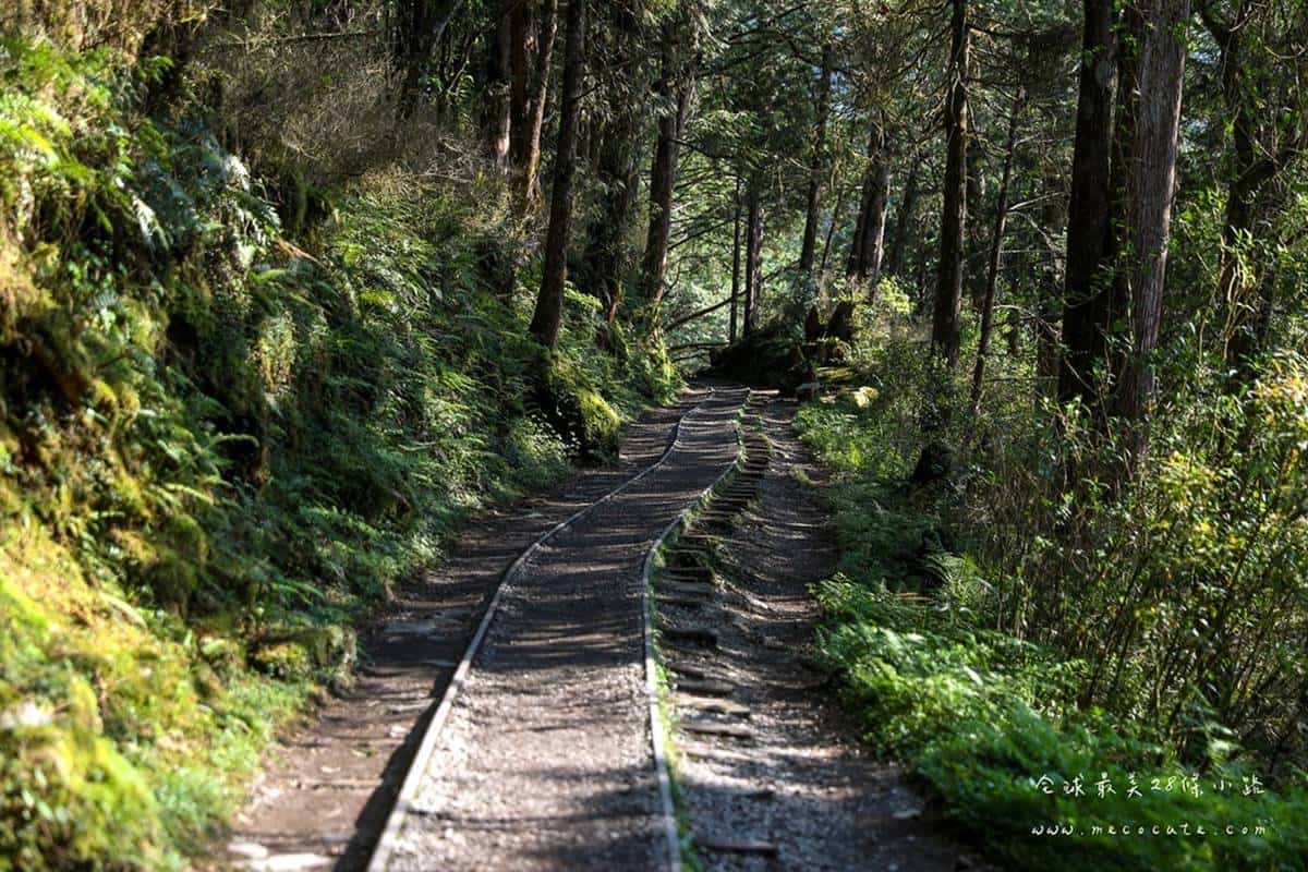 宜蘭不只抹茶山！８條私房步道衝打卡：CNN全球最美、瀑布祕境、15分鐘登頂