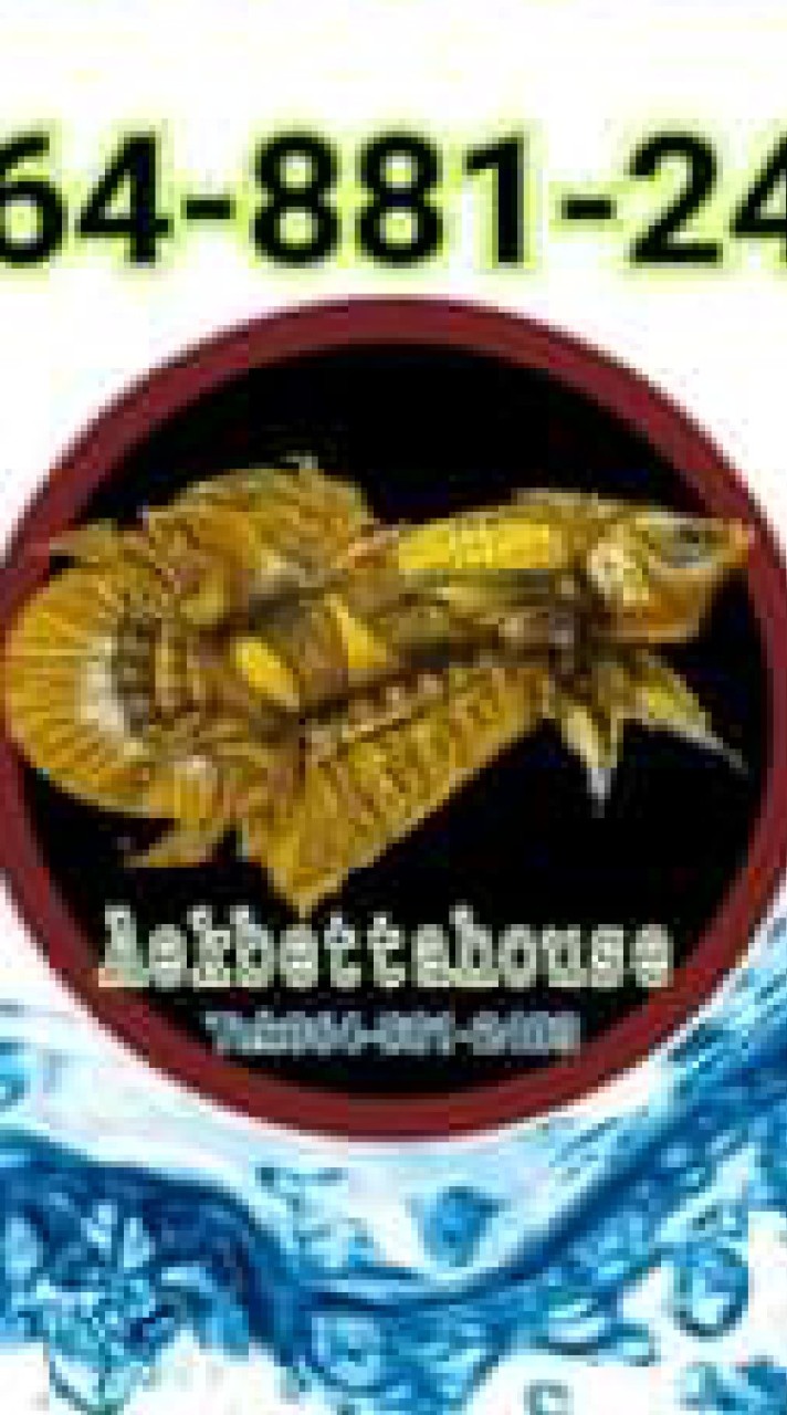 Aek betta house.