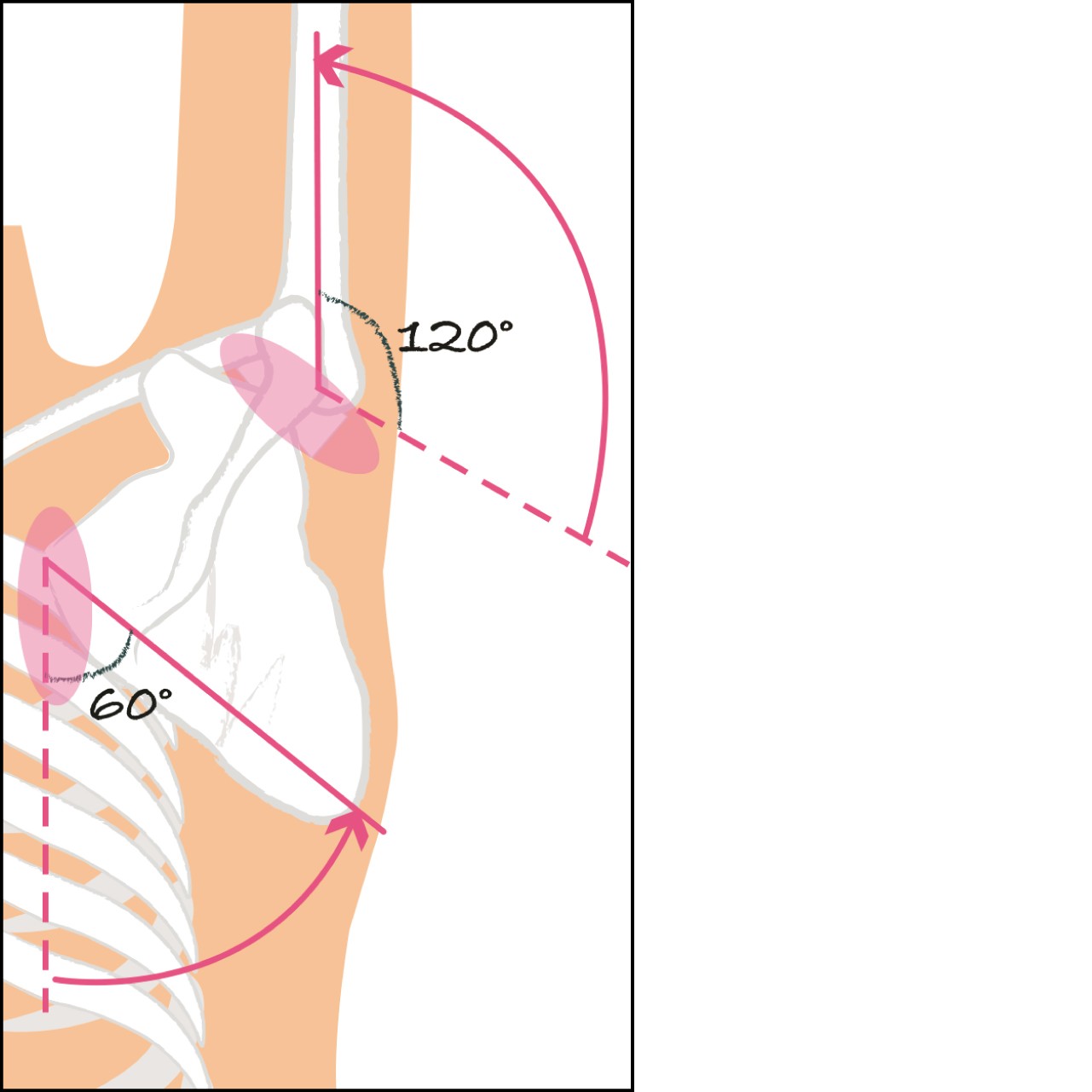 首と肩 のひどいこり 痛みの原因は 胸と脇の緊張のせいって知ってた 30秒ストレッチ