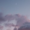 ヲタクはつらいよ2