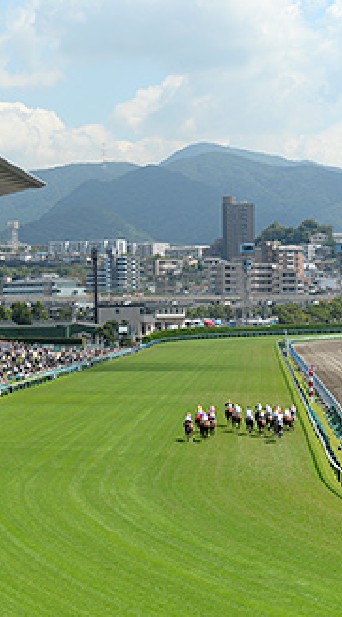 日本中央競馬予想会