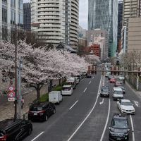 御虎神（御成門・虎ノ門・神谷町）