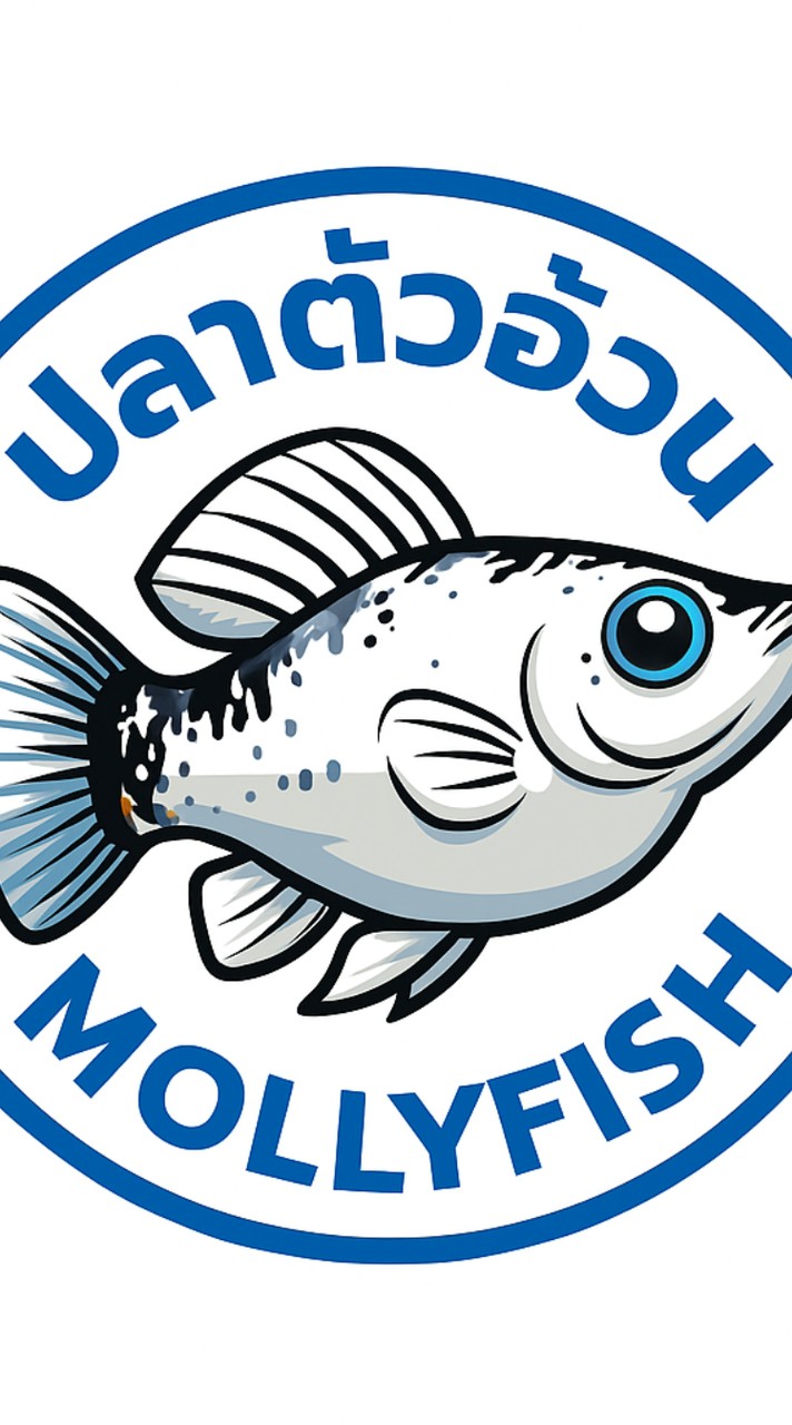 กลุ่มพูดคุยปลาบอลลูน ปลาตัวอ้วนMollyfish