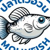 กลุ่มพูดคุยปลาบอลลูน ปลาตัวอ้วนMollyfish