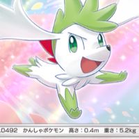 ポケポケトレード部屋