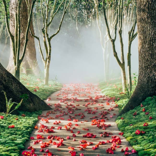 桜咲くホテル椿山荘東京で お花見ビュッフェ ランチやディナーのあとは 椿アートや東京雲海を満喫して Ozmall オズモール