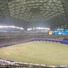 中日応援し隊