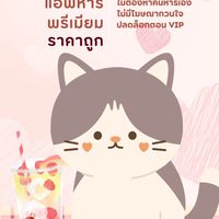 palmeyofficial แอพหารพรีเมียม