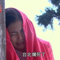 我的自由年代🤟🏻