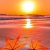 甜蜜溫馨溫暖悠閒談笑風生